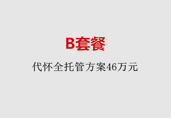 东莞B套餐：代怀全托管方案46万元